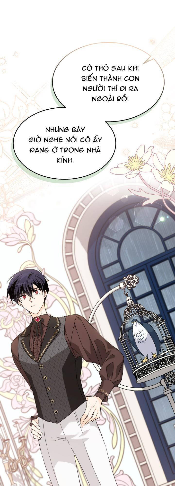 Mối Quan Hệ Cộng Sinh Giữa Báo Đen Và Thỏ Trắng - Chap 86 - Trang 39