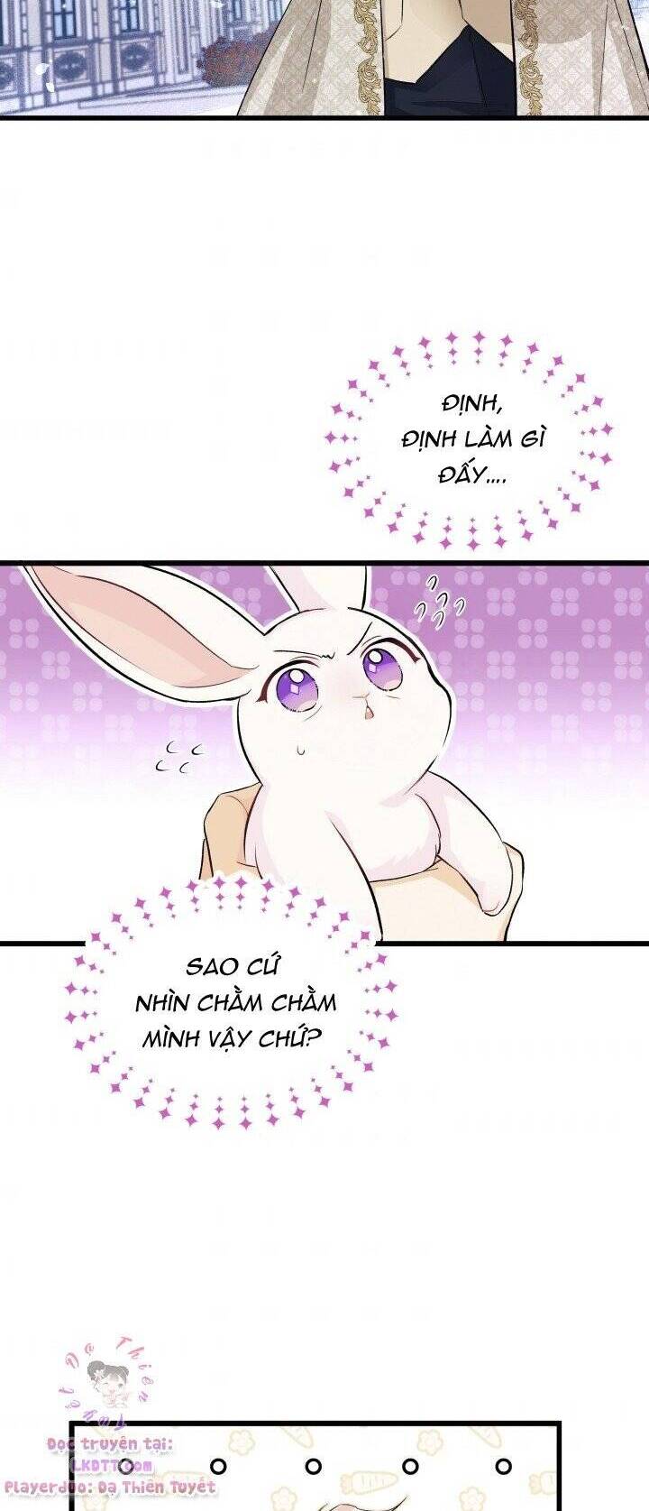 Mối Quan Hệ Cộng Sinh Giữa Báo Đen Và Thỏ Trắng - Chap 9 - Trang 6