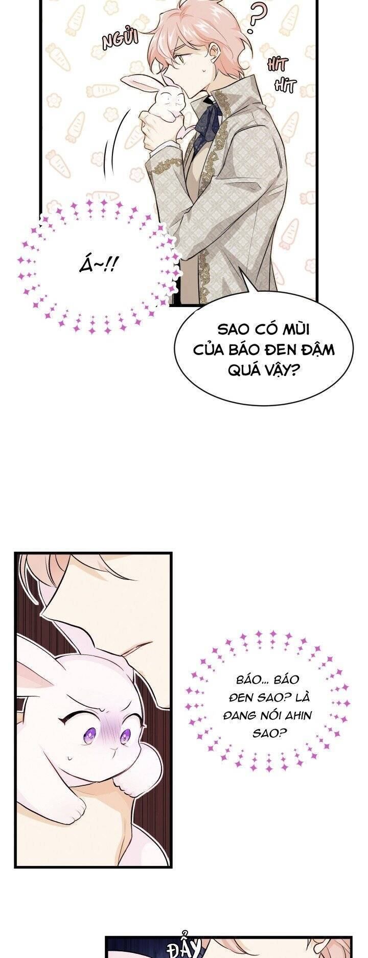 Mối Quan Hệ Cộng Sinh Giữa Báo Đen Và Thỏ Trắng - Chap 9 - Trang 7
