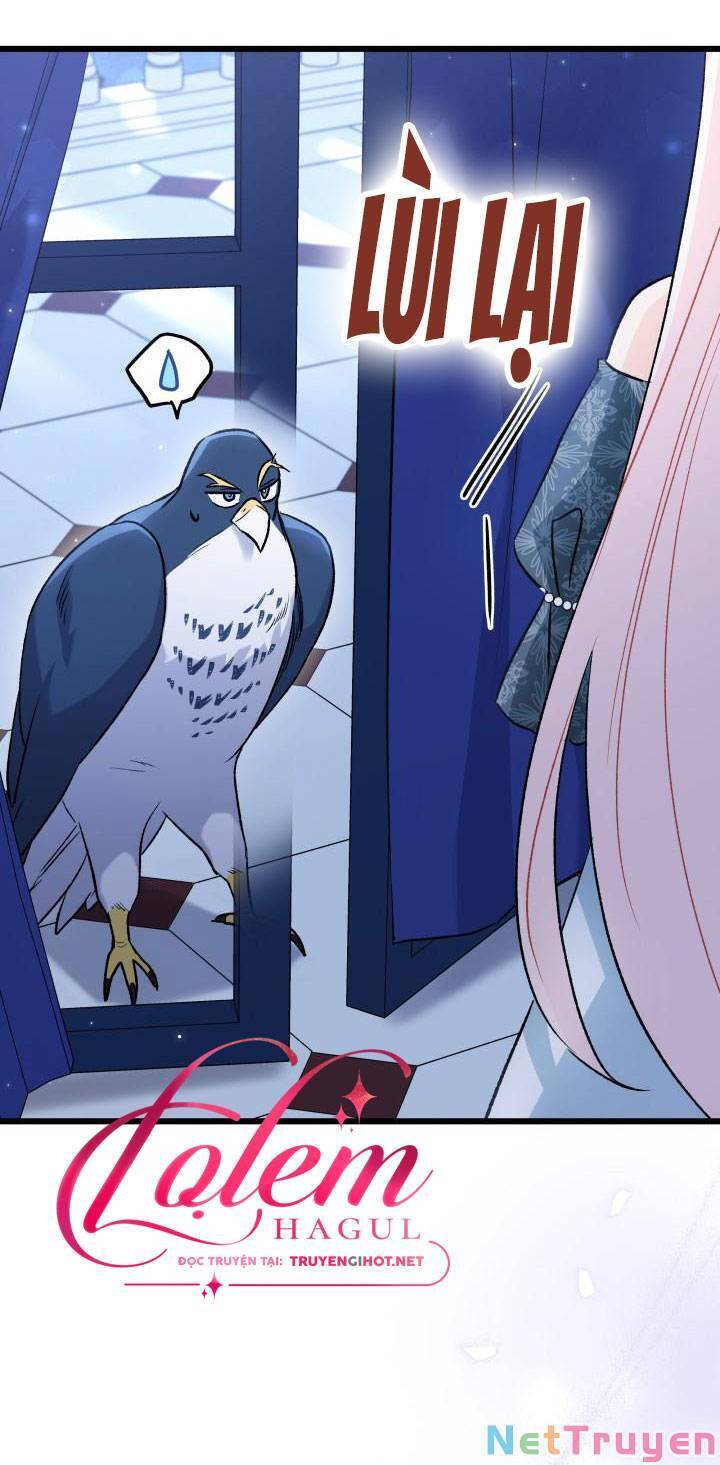 Mối Quan Hệ Cộng Sinh Giữa Báo Đen Và Thỏ Trắng - Chap 91 - Trang 60