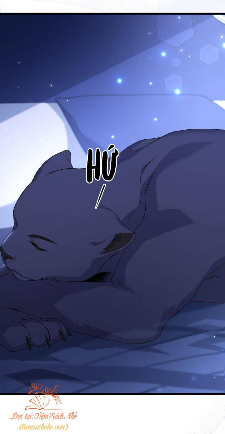 Mối Quan Hệ Cộng Sinh Giữa Báo Đen Và Thỏ Trắng - Chap 92 - Trang 12