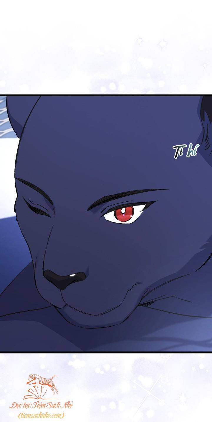 Mối Quan Hệ Cộng Sinh Giữa Báo Đen Và Thỏ Trắng - Chap 92 - Trang 15