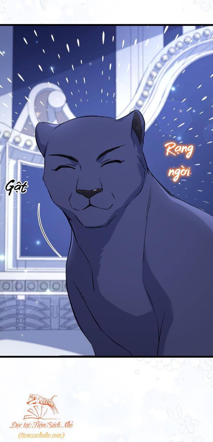 Mối Quan Hệ Cộng Sinh Giữa Báo Đen Và Thỏ Trắng - Chap 92 - Trang 58