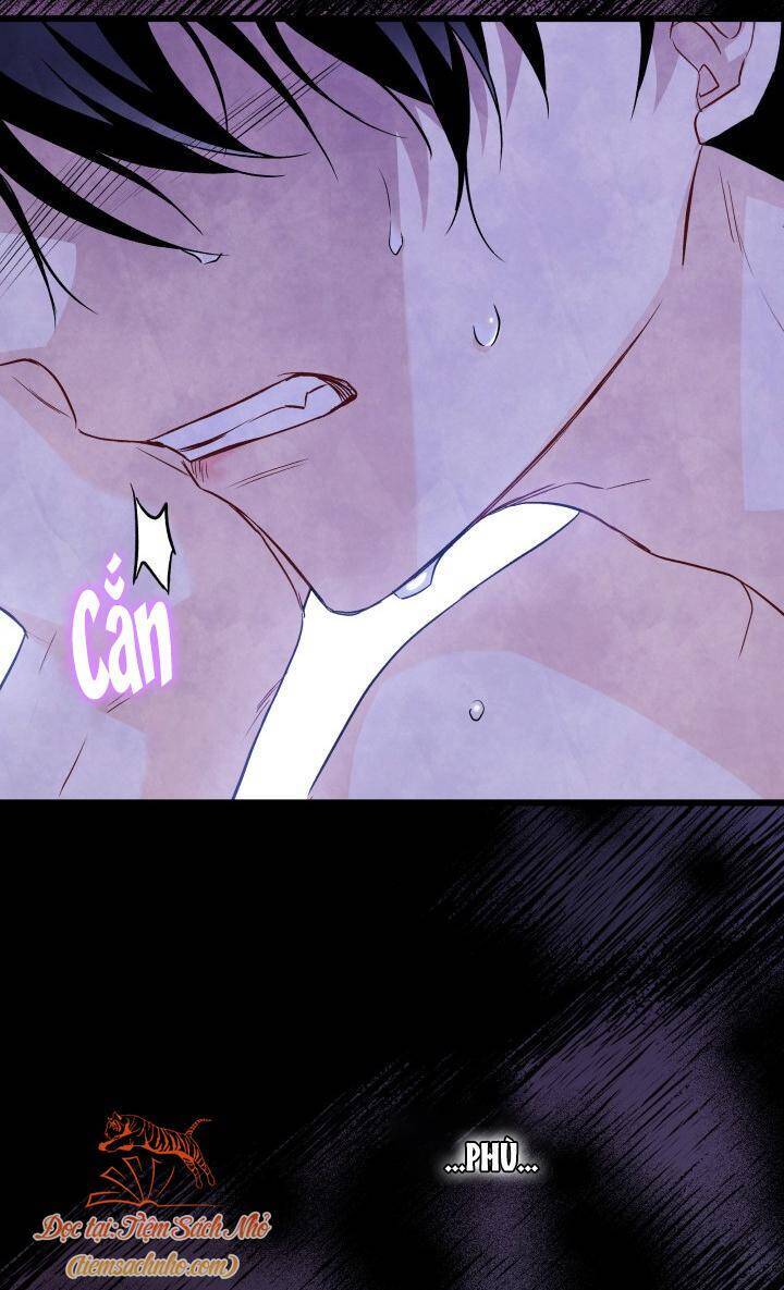 Mối Quan Hệ Cộng Sinh Giữa Báo Đen Và Thỏ Trắng - Chap 92 - Trang 68