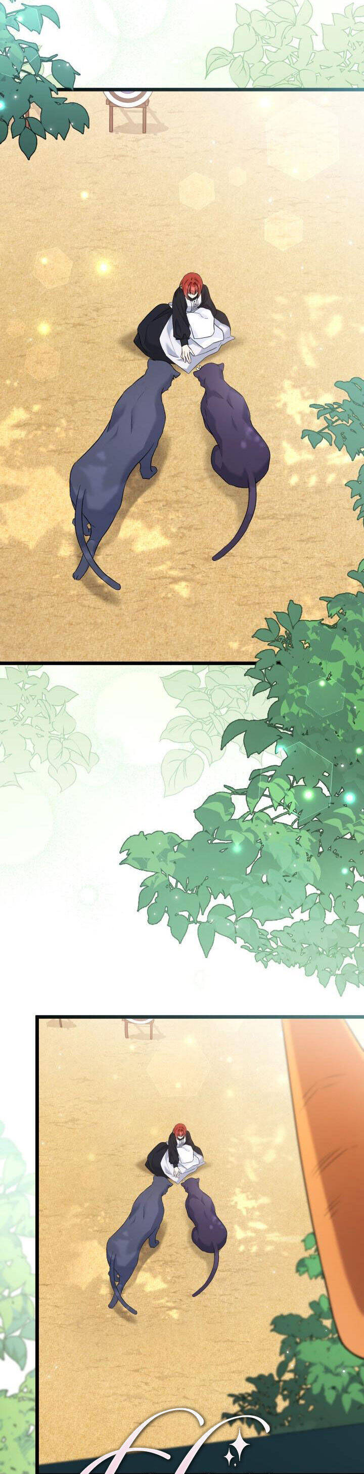 Mối Quan Hệ Cộng Sinh Giữa Báo Đen Và Thỏ Trắng - Chap 98 - Trang 14