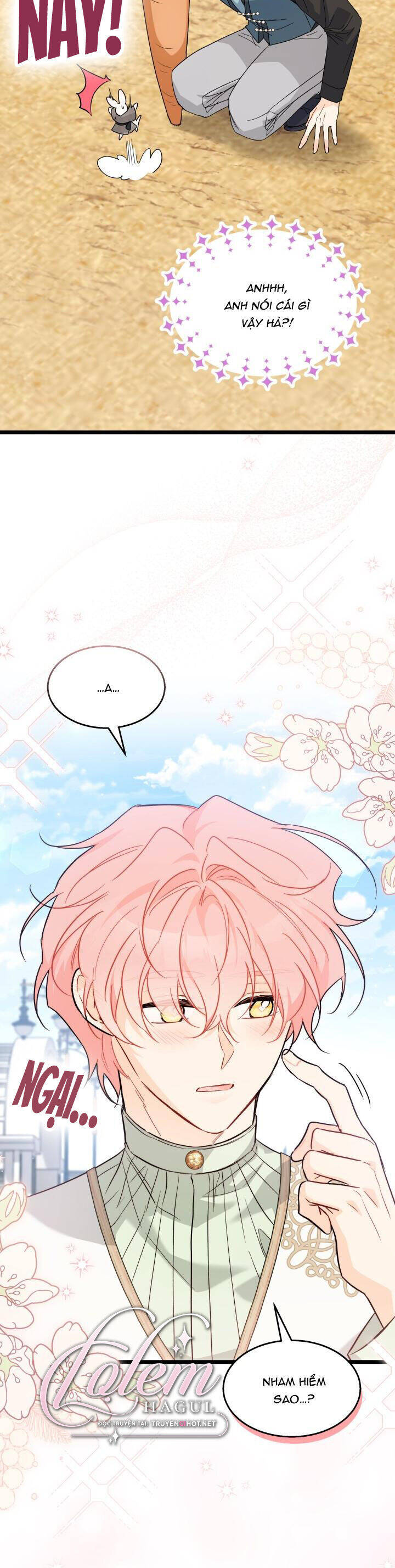 Mối Quan Hệ Cộng Sinh Giữa Báo Đen Và Thỏ Trắng - Chap 99 - Trang 17
