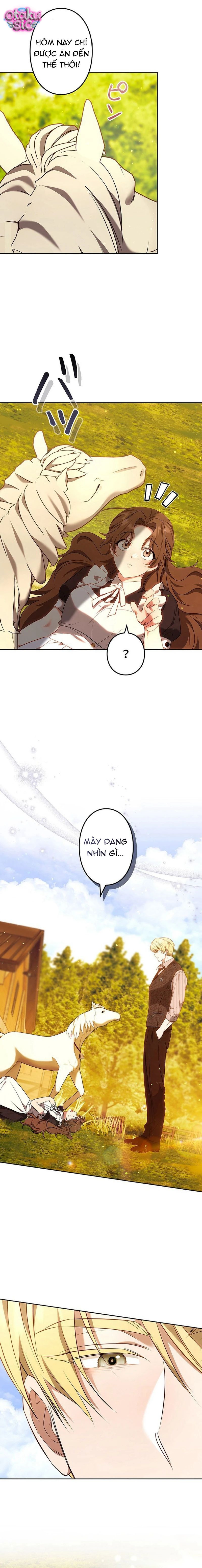 Một Ngày Nọ, Nam Chính Rơi Xuống Nhà Tôi - Chap 14 - Trang 20