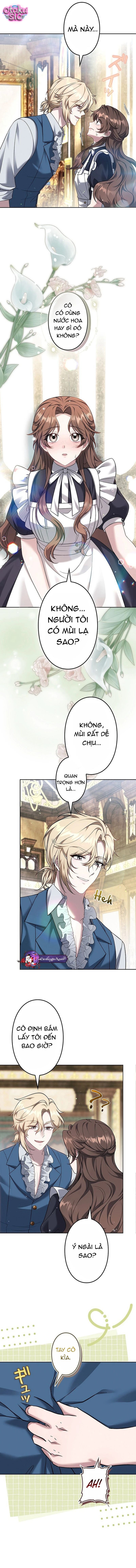 Một Ngày Nọ, Nam Chính Rơi Xuống Nhà Tôi - Chap 17 - Trang 14
