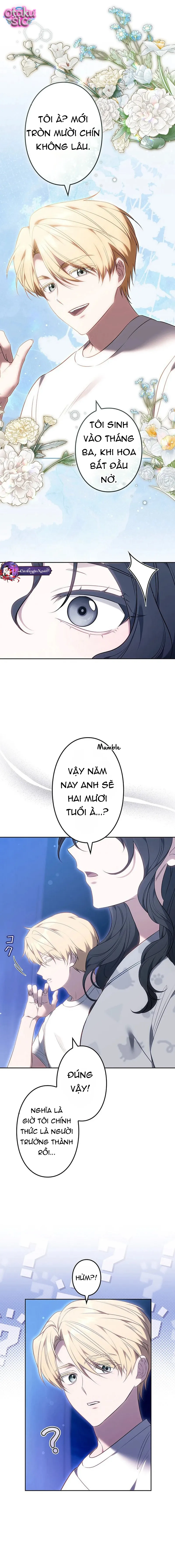 Một Ngày Nọ, Nam Chính Rơi Xuống Nhà Tôi - Chap 2 - Trang 3
