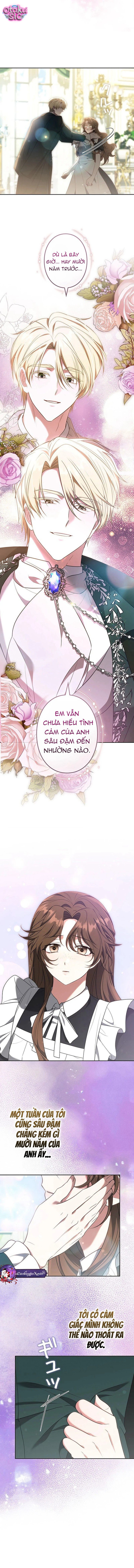 Một Ngày Nọ, Nam Chính Rơi Xuống Nhà Tôi - Chap 22 - Trang 8