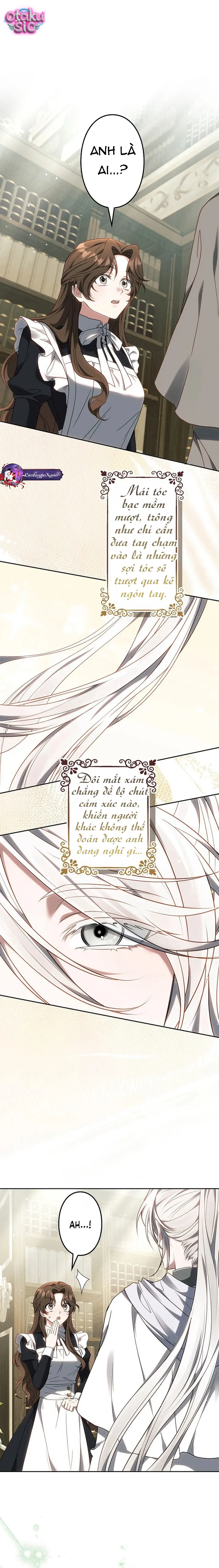 Một Ngày Nọ, Nam Chính Rơi Xuống Nhà Tôi - Chap 5 - Trang 1