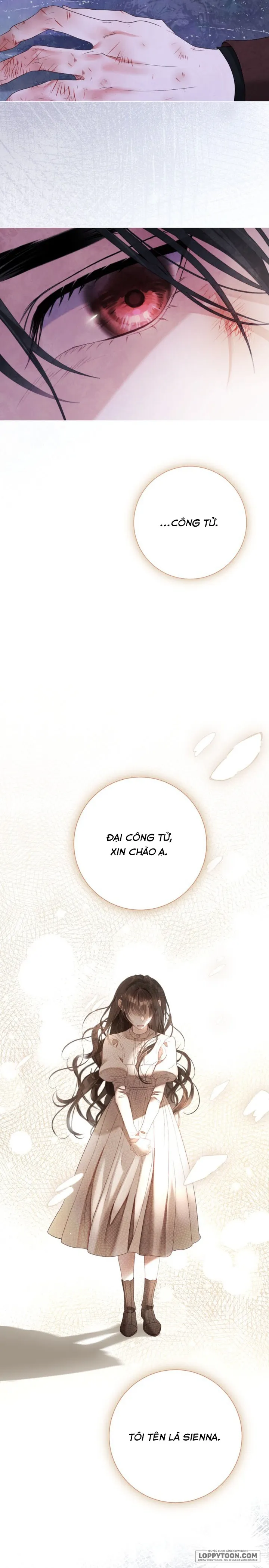 Một Thế Giới Không Có Chị Gái Mà Ai Cũng Yêu - Chap 104 - Trang 3