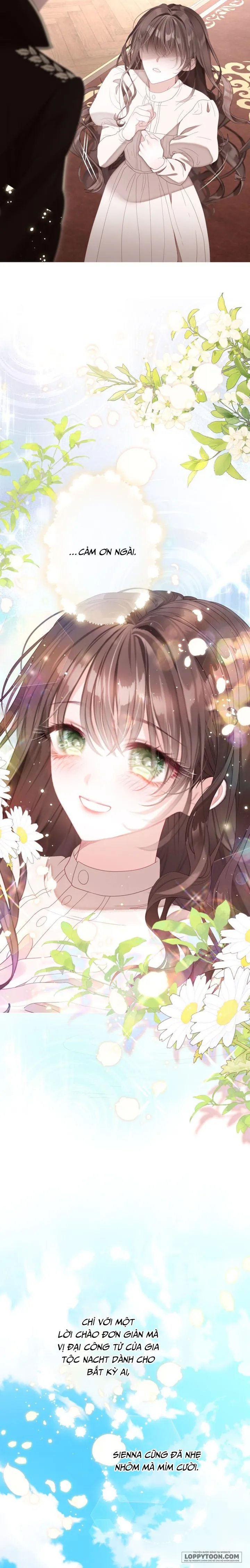 Một Thế Giới Không Có Chị Gái Mà Ai Cũng Yêu - Chap 104 - Trang 7