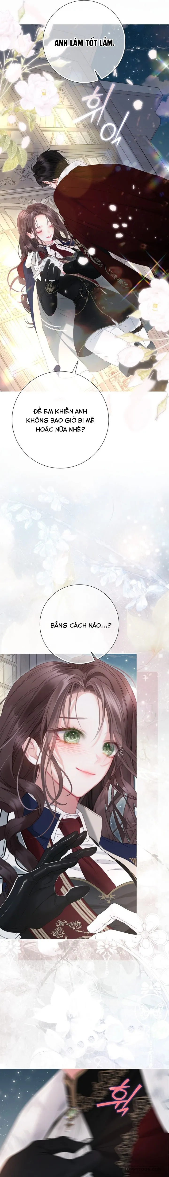 Một Thế Giới Không Có Chị Gái Mà Ai Cũng Yêu - Chap 106 - Trang 26