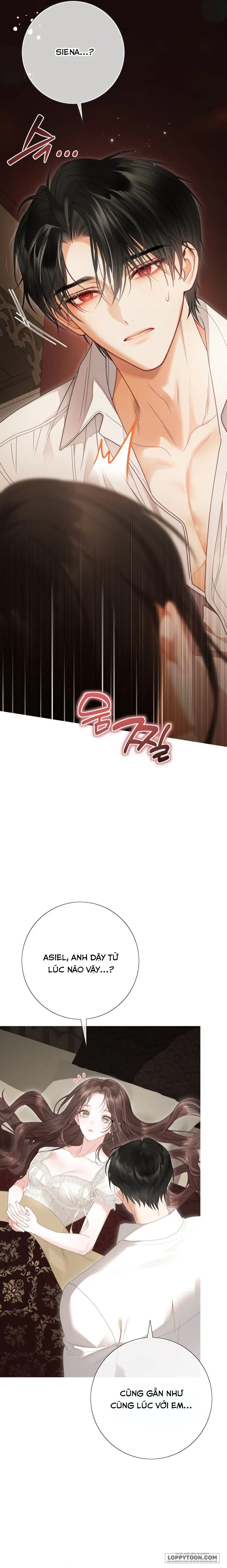 Một Thế Giới Không Có Chị Gái Mà Ai Cũng Yêu - Chap 113 - Trang 17