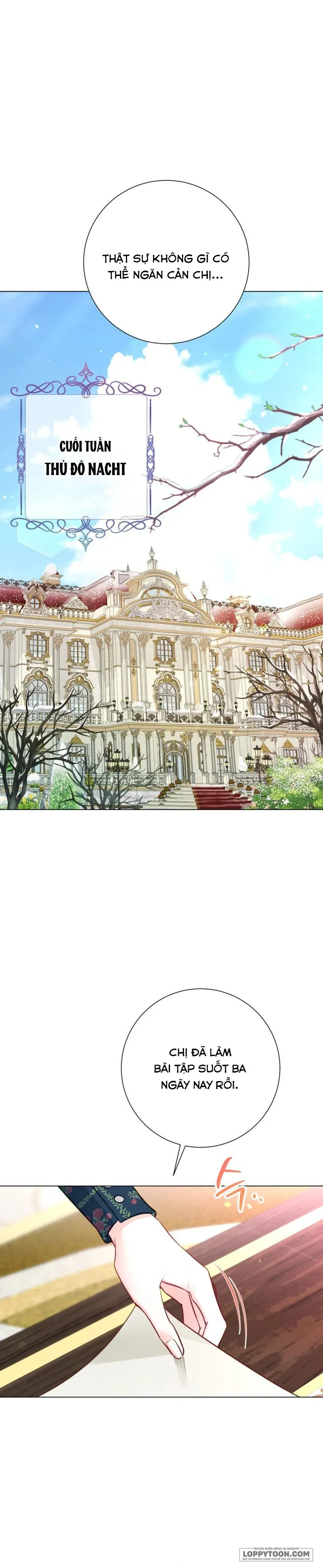 Một Thế Giới Không Có Chị Gái Mà Ai Cũng Yêu - Chap 20 - Trang 8