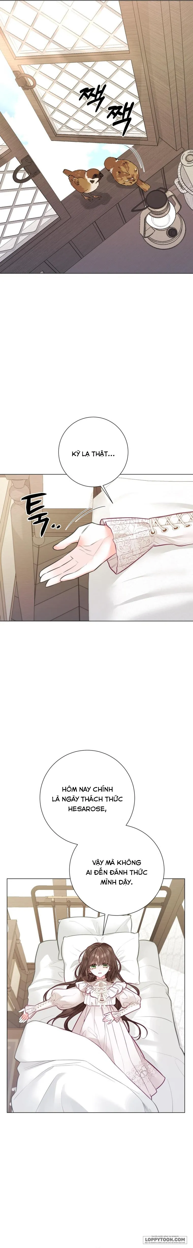 Một Thế Giới Không Có Chị Gái Mà Ai Cũng Yêu - Chap 25 - Trang 16