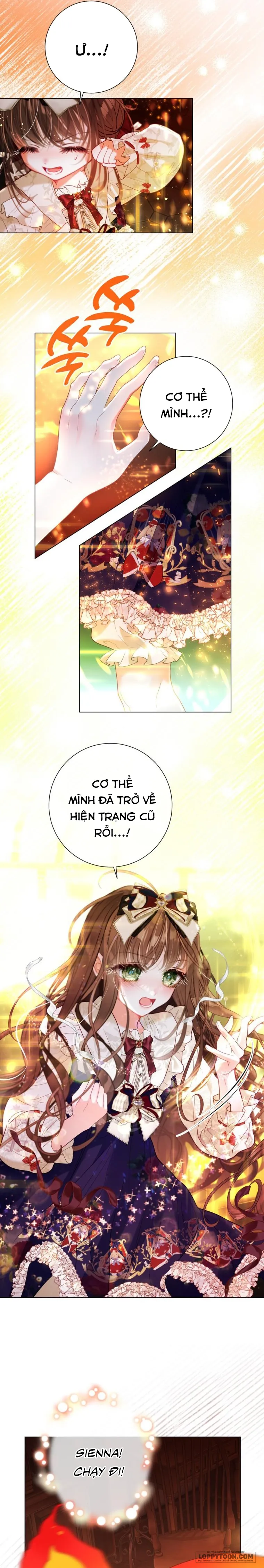 Một Thế Giới Không Có Chị Gái Mà Ai Cũng Yêu - Chap 38 - Trang 21