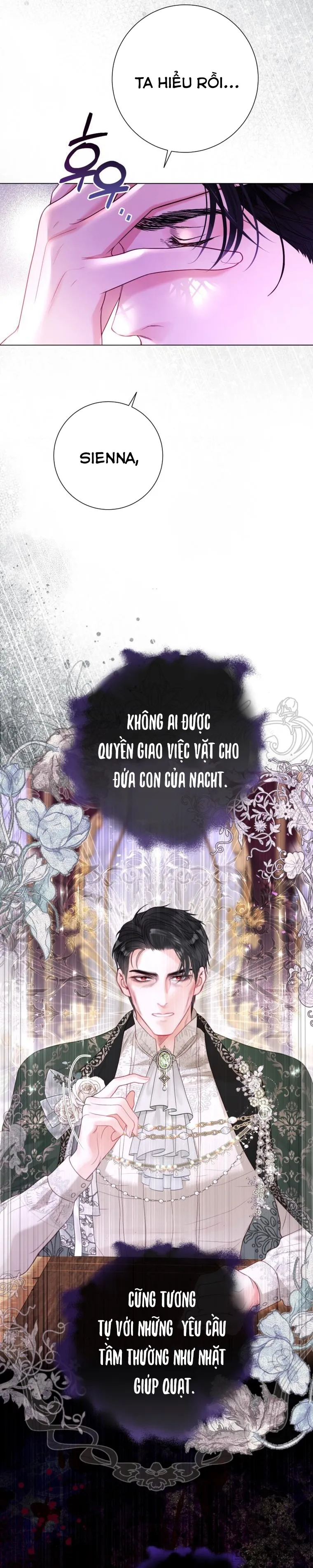 Một Thế Giới Không Có Chị Gái Mà Ai Cũng Yêu - Chap 41 - Trang 12