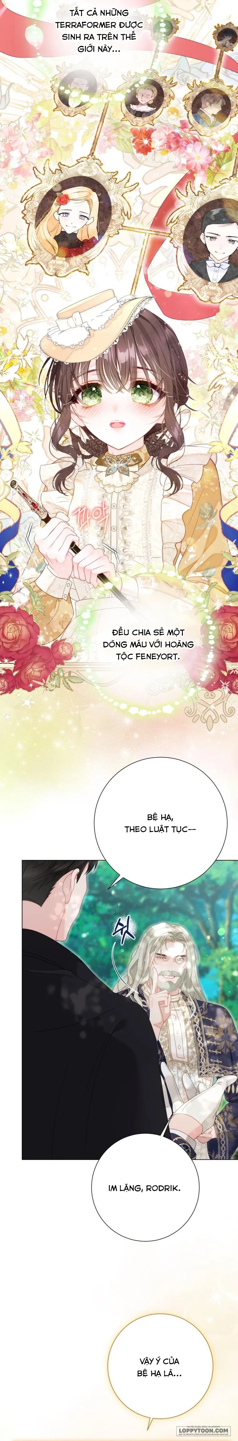 Một Thế Giới Không Có Chị Gái Mà Ai Cũng Yêu - Chap 53 - Trang 6
