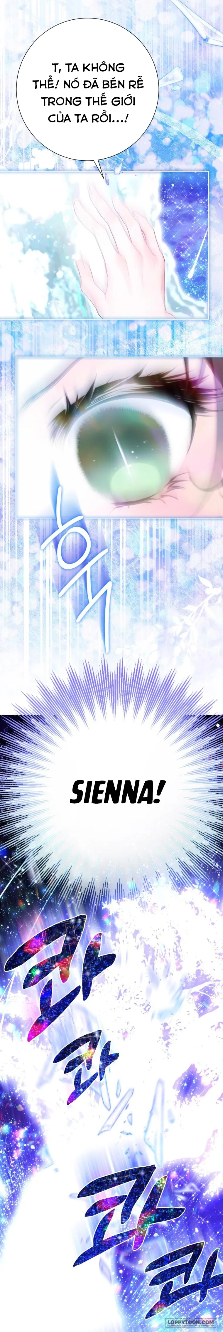 Một Thế Giới Không Có Chị Gái Mà Ai Cũng Yêu - Chap 58 - Trang 14