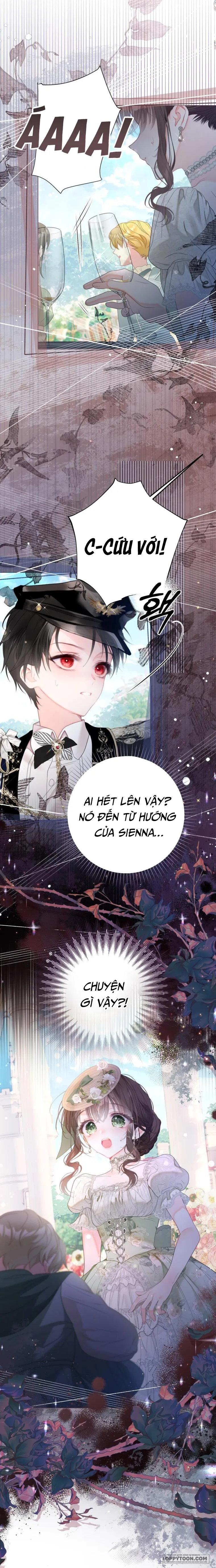 Một Thế Giới Không Có Chị Gái Mà Ai Cũng Yêu - Chap 64 - Trang 19