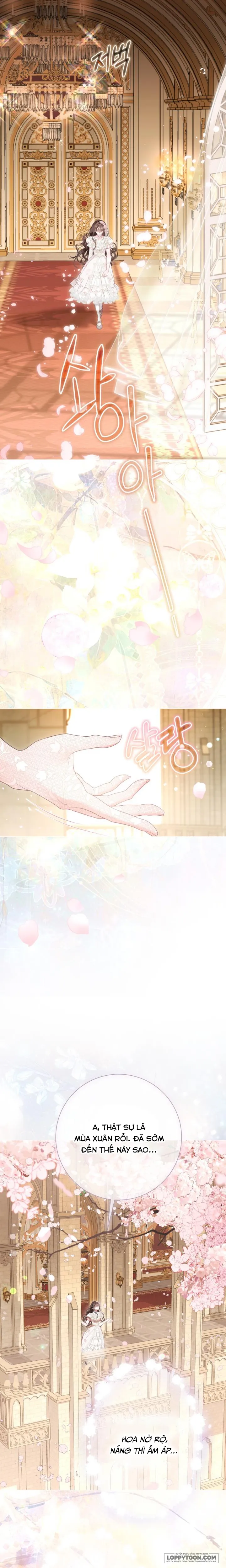 Một Thế Giới Không Có Chị Gái Mà Ai Cũng Yêu - Chap 88 - Trang 5