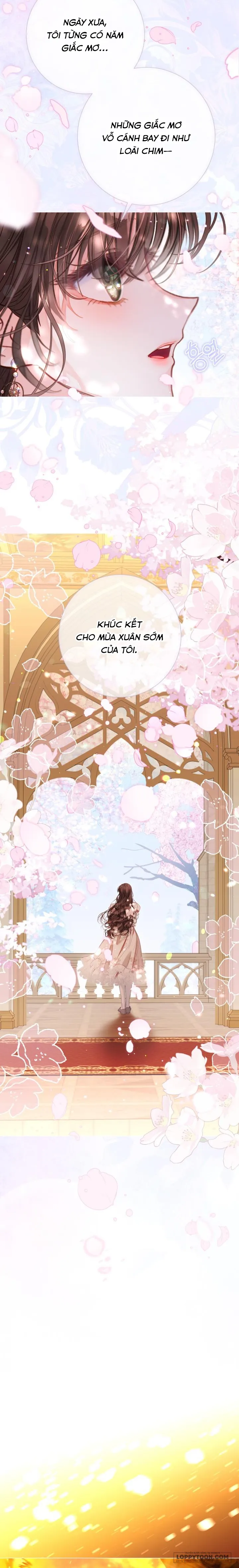 Một Thế Giới Không Có Chị Gái Mà Ai Cũng Yêu - Chap 88 - Trang 8