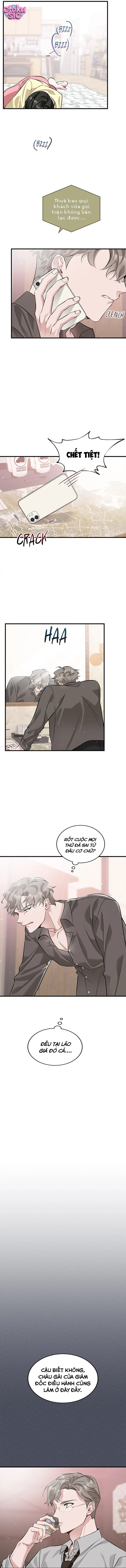Một Vụ Bê Bối Có Chủ Đích - Chap 10 - Trang 9