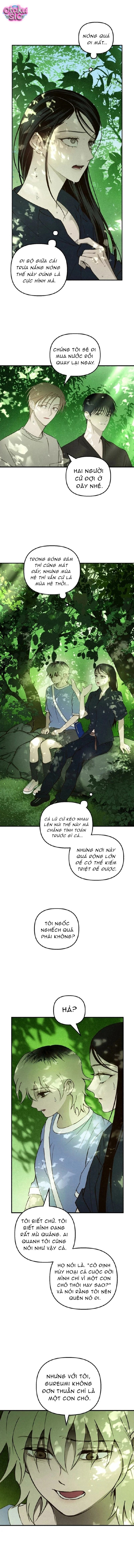 Mùa Hè Bị Nuốt Chửng Bởi Bóng Tối - Chap 22 - Trang 5
