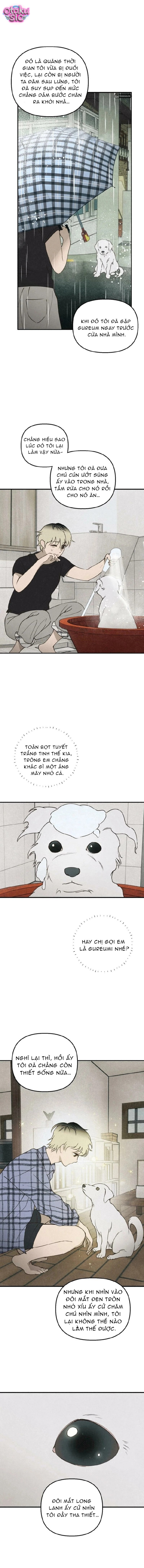 Mùa Hè Bị Nuốt Chửng Bởi Bóng Tối - Chap 22 - Trang 6