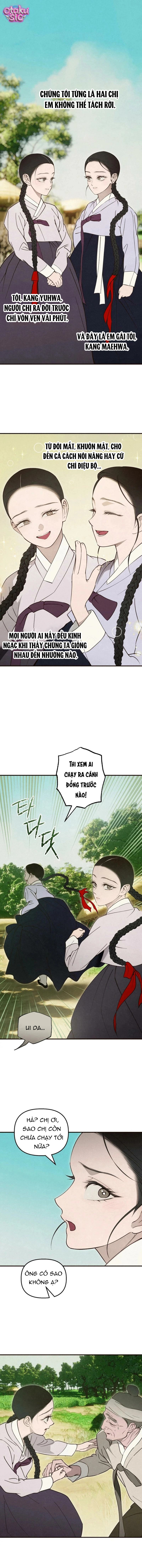 Mùa Hè Bị Nuốt Chửng Bởi Bóng Tối - Chap 25 - Trang 1