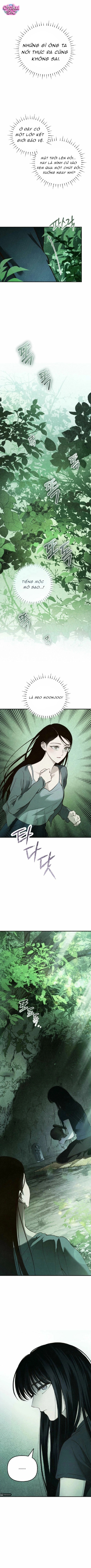 Mùa Hè Bị Nuốt Chửng Bởi Bóng Tối - Chap 27 - Trang 19