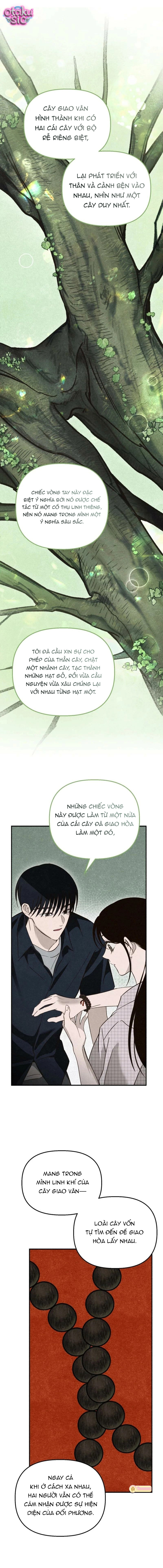 Mùa Hè Bị Nuốt Chửng Bởi Bóng Tối - Chap 30 - Trang 8