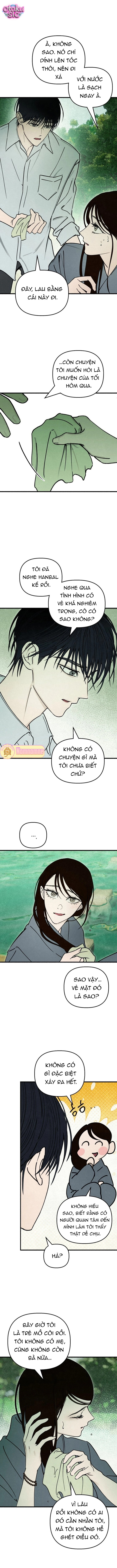 Mùa Hè Bị Nuốt Chửng Bởi Bóng Tối - Chap 34 - Trang 8