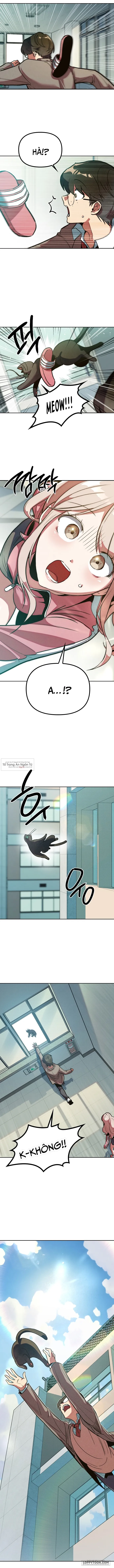 Mười Hai Cô Gái Cung Hoàng Đạo - Chap 1 - Trang 17