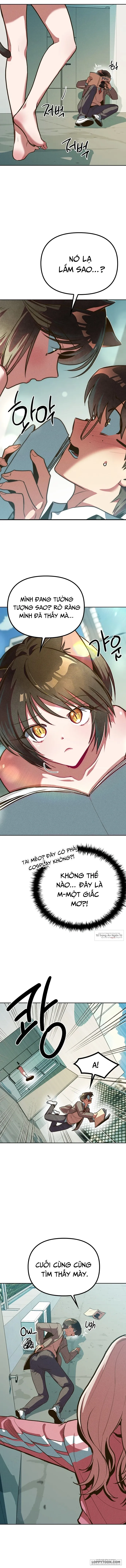 Mười Hai Cô Gái Cung Hoàng Đạo - Chap 1 - Trang 3
