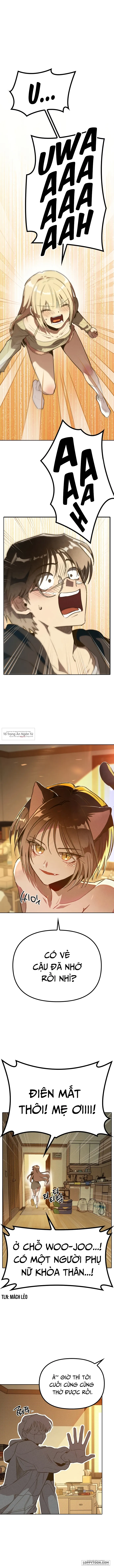 Mười Hai Cô Gái Cung Hoàng Đạo - Chap 2 - Trang 1