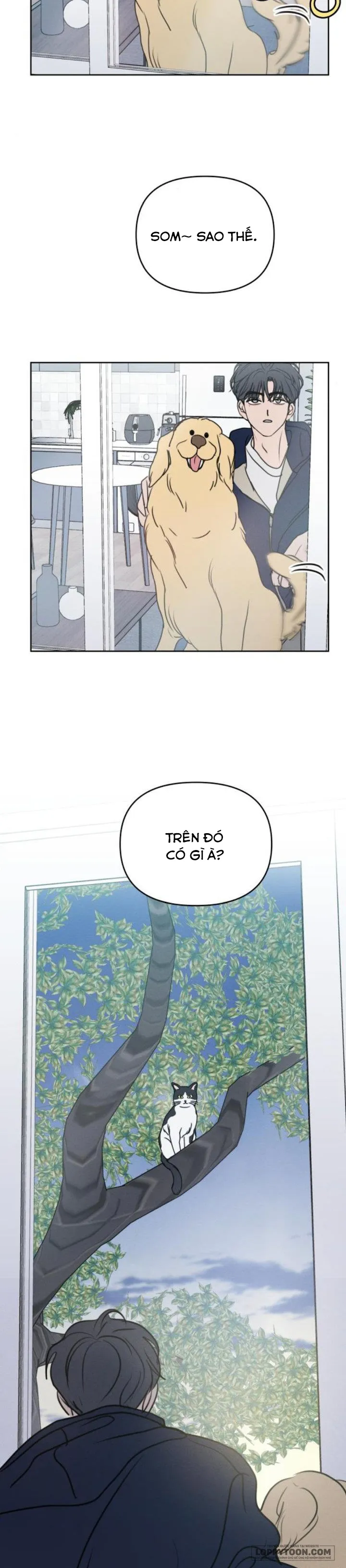 Muốn Được Lừa Dối - Chap 20 - Trang 36