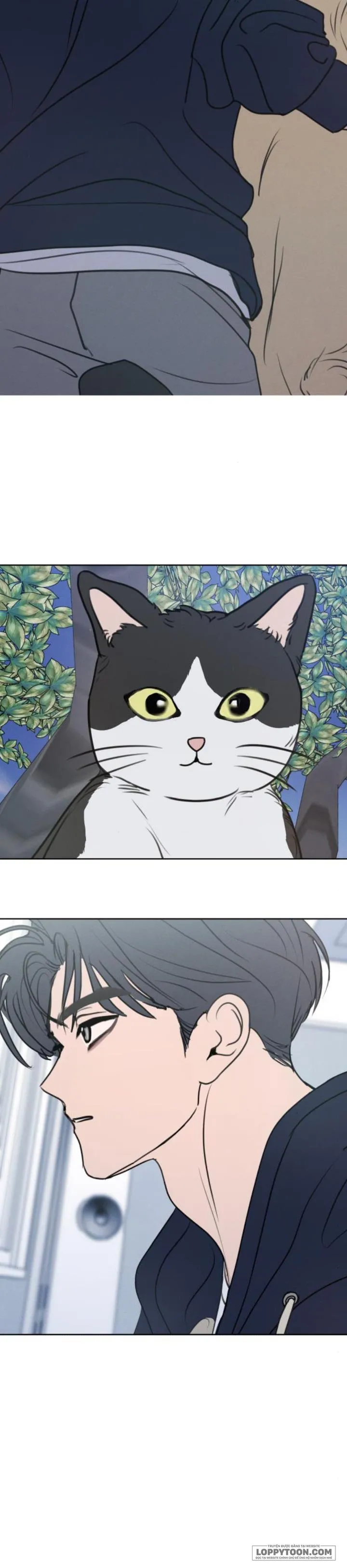 Muốn Được Lừa Dối - Chap 20 - Trang 37