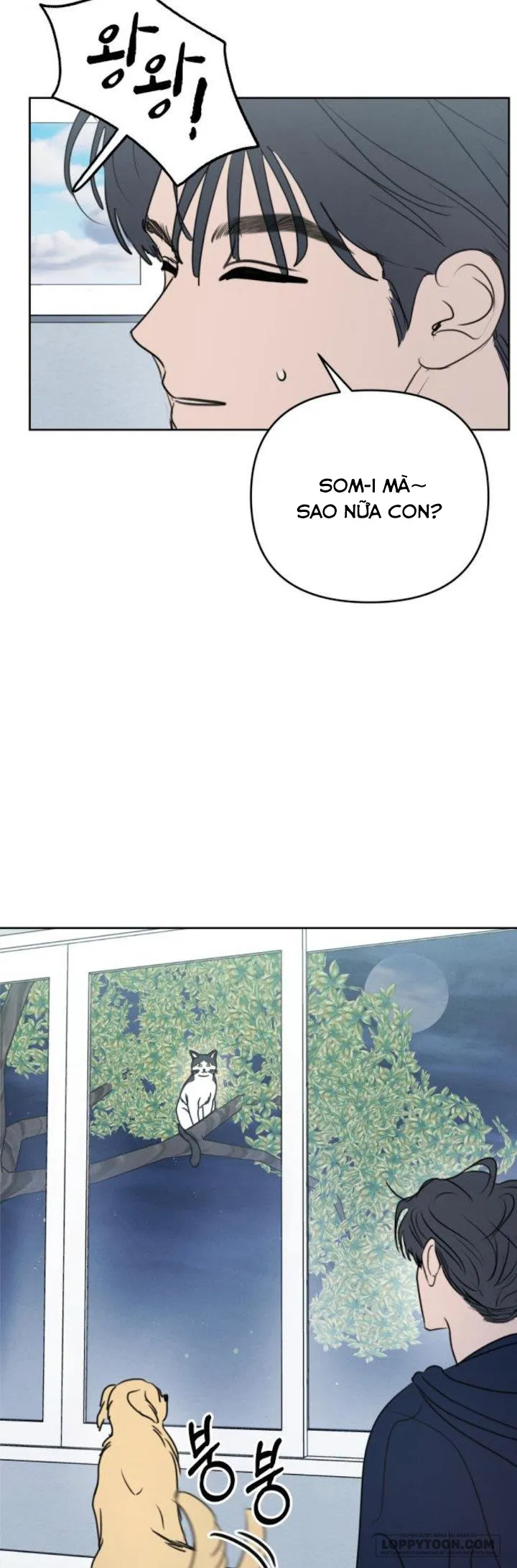 Muốn Được Lừa Dối - Chap 21 - Trang 18