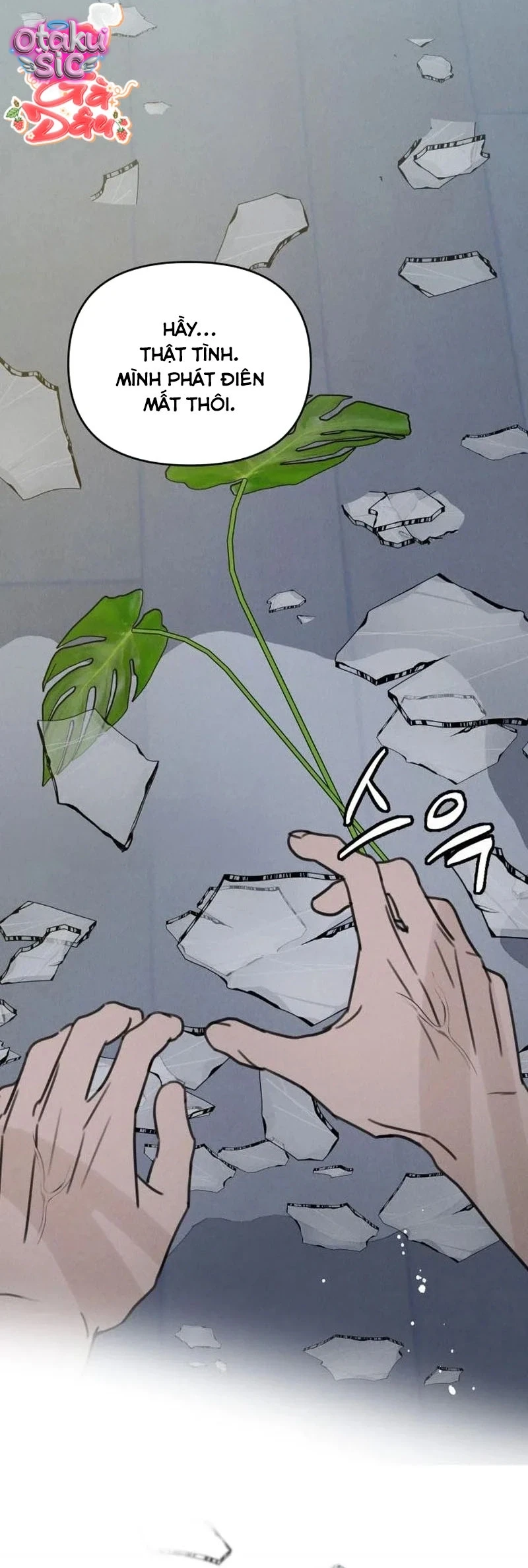 Muốn Được Lừa Dối - Chap 45 - Trang 43