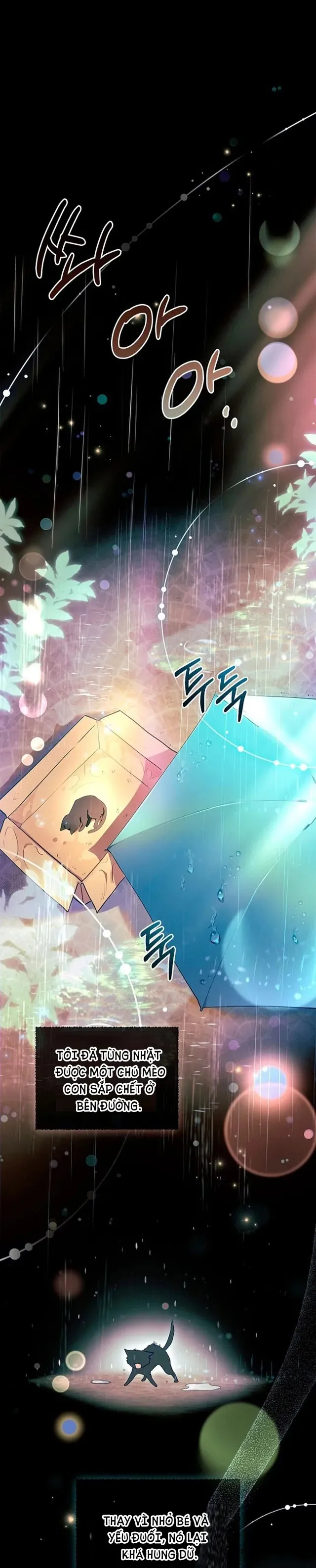 Nam Chính À, Tôi Sẽ Tôn Trọng Sở Thích Của Anh - Chap 8 - Trang 1