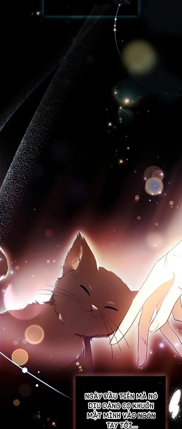 Nam Chính À, Tôi Sẽ Tôn Trọng Sở Thích Của Anh - Chap 8 - Trang 2