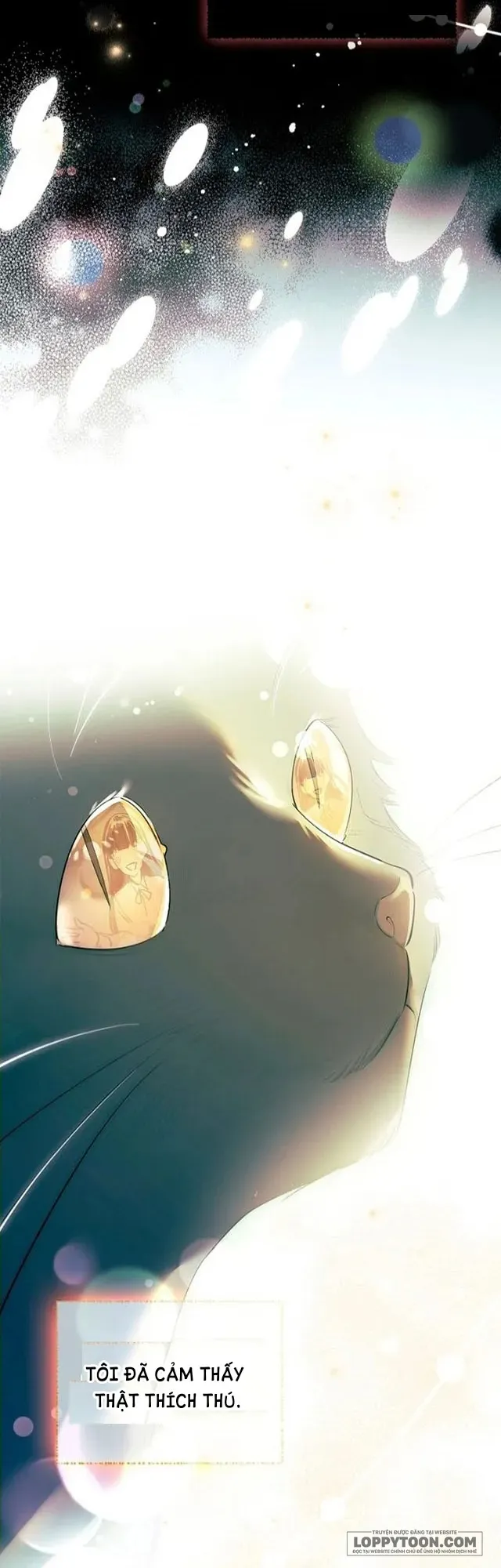 Nam Chính À, Tôi Sẽ Tôn Trọng Sở Thích Của Anh - Chap 8 - Trang 3