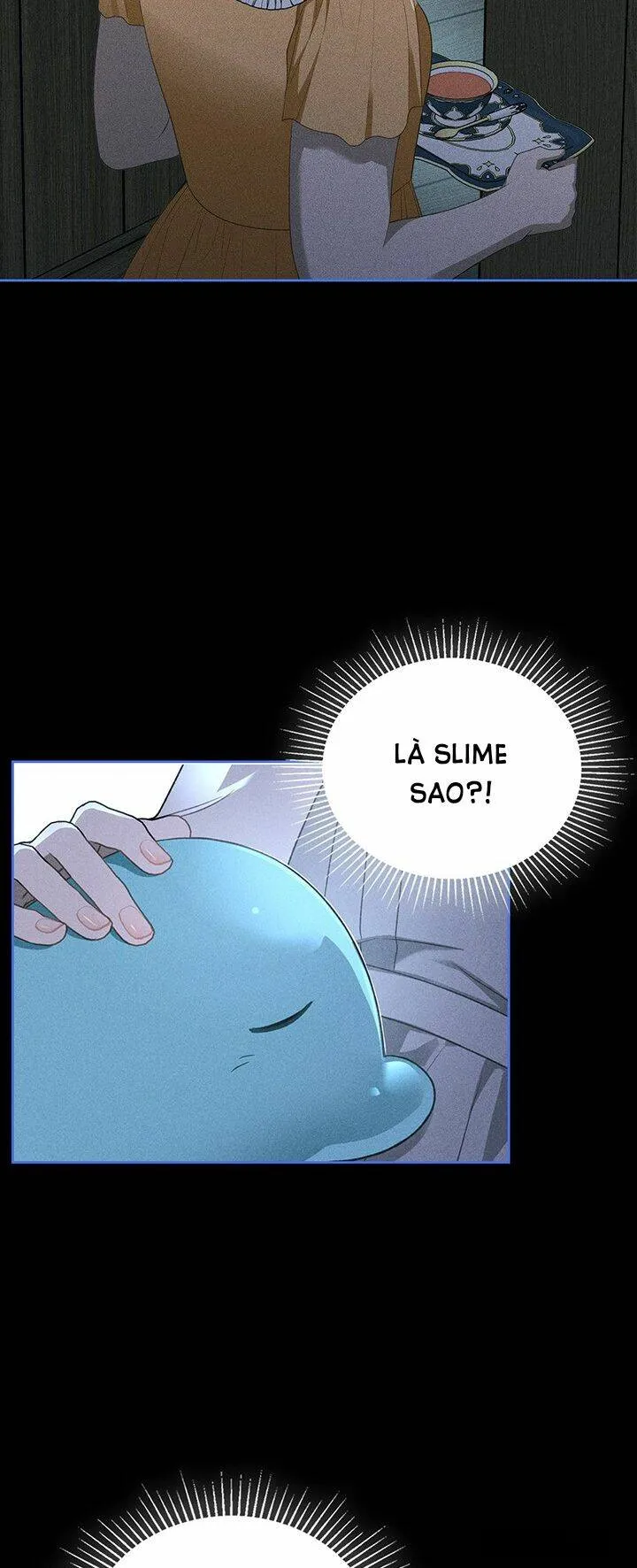 Nam Chính Quái Vật Sống Dưới Giường Tôi - Chap 23 - Trang 5