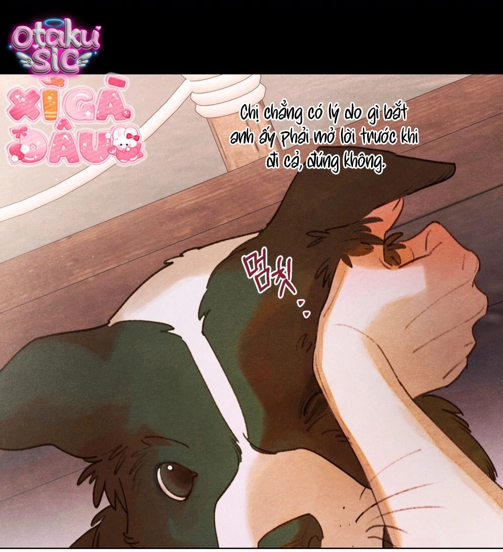 Nắng Hạ Tháng Năm - Chap 24 - Trang 41