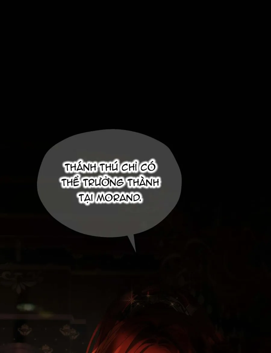 Nàng Sẽ Thuần Phục Những Anh Hùng - Chap 16 - Trang 16