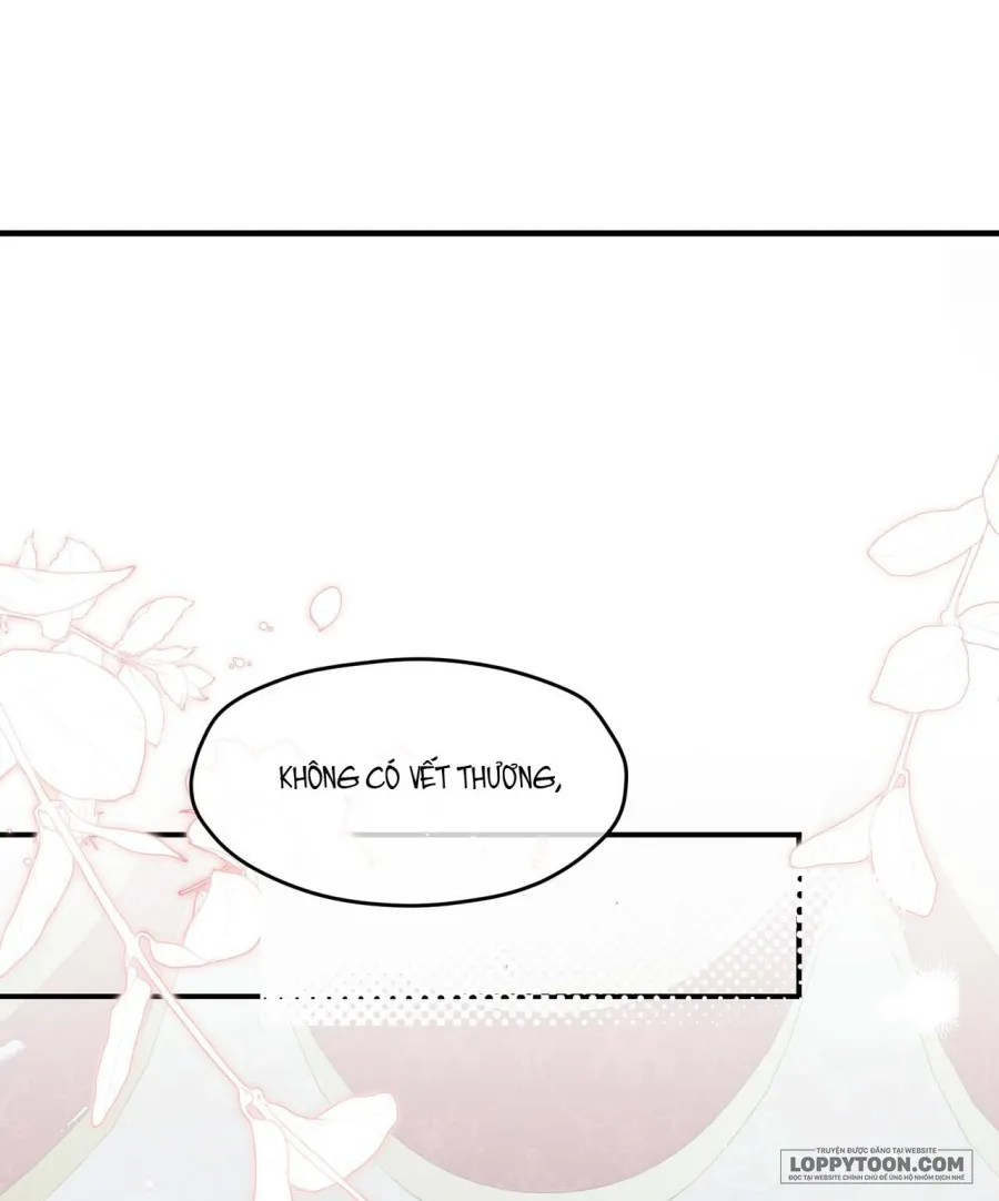 Nàng Sẽ Thuần Phục Những Anh Hùng - Chap 2 - Trang 4