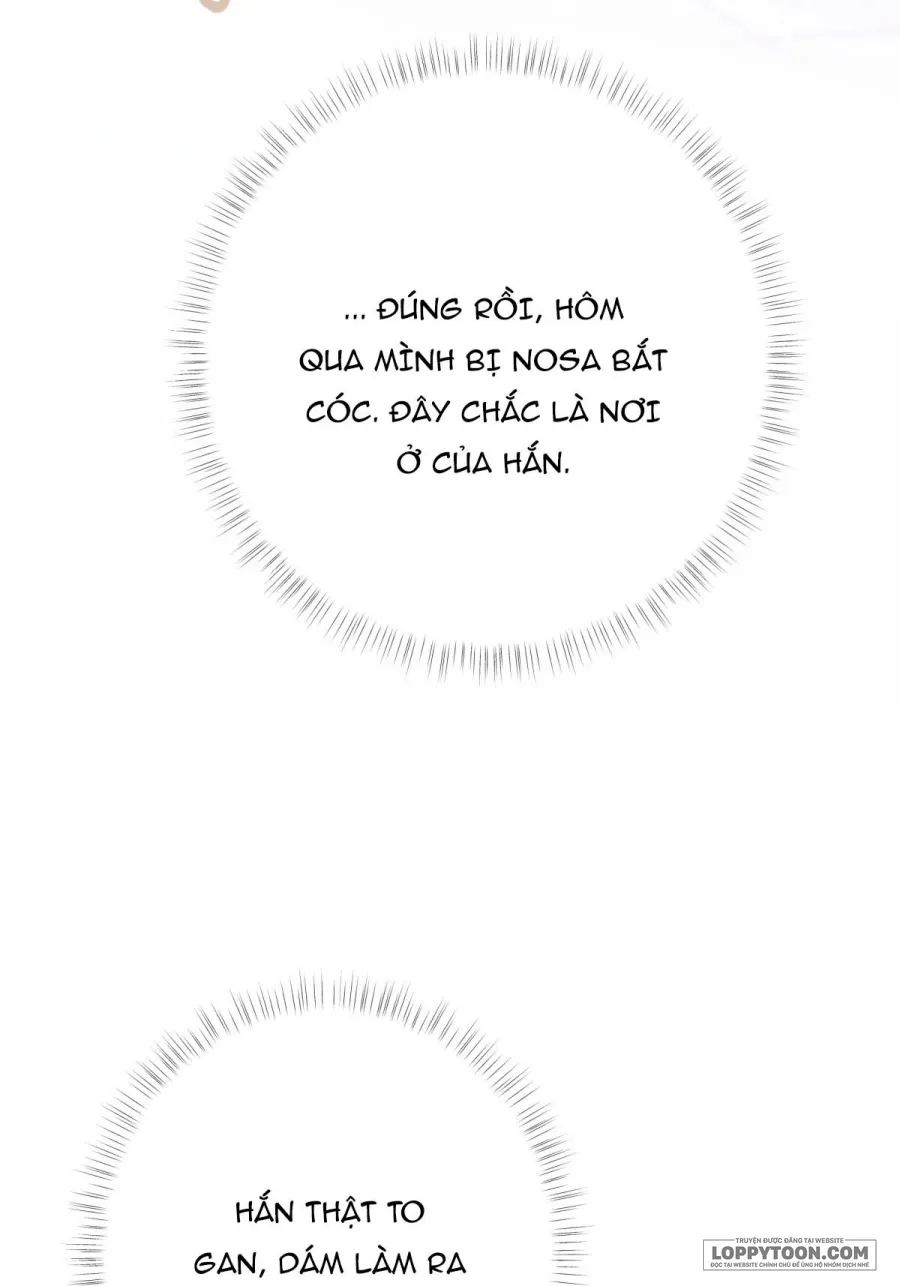 Nàng Sẽ Thuần Phục Những Anh Hùng - Chap 28 - Trang 6